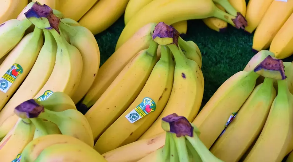 bananas para a potencia